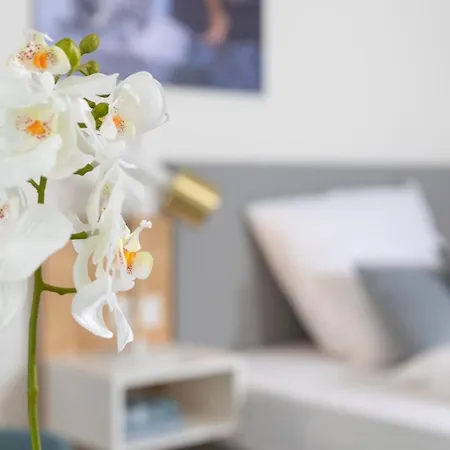 Appartamento Nino-boardinghouse 13